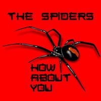 The Spiders - How About You