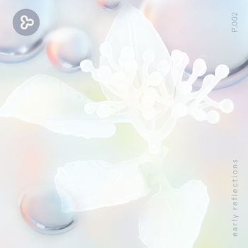 Various Artists - Early reflections
