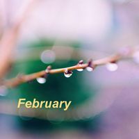 Four Seasons - February