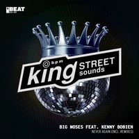Big Moses feat. Kenny Bobien - Never Again