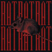 IMI - Rat (Explicit)