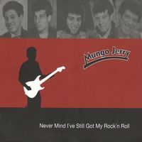 Mungo Jerry - Never Mind I've Still Got My Rock'n Roll