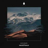 Black Wands - Protector EP