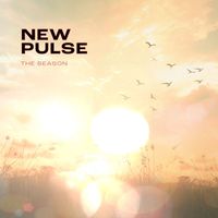 The Season - New Pulse (Radio Edit)