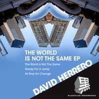 David Herrero - The World Is Not the Same