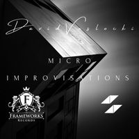 David Veslocki - Micro Improvisations