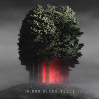 Bjoern Torwellen - 10.000 Black Seeds