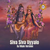Jani - Siva Siva Uyyalo (DJ Male Version)