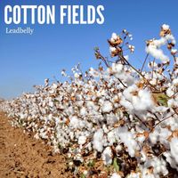 Lead Belly - Cotton Fields
