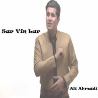 Ali Ahmadi - Sar Vin Lar