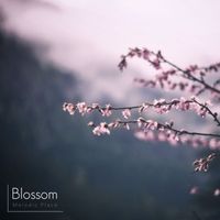 Classy Moon - Blossom -Melodic Place-