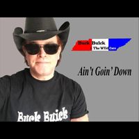 Buck Buick & the Wildcats - Ain't Goin' Down