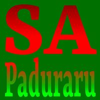 Paduraru - SA (Gymnastics Mix)