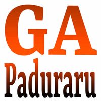 Paduraru - GA (Gymnastics Mix)