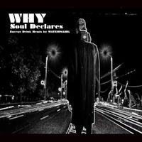 WHY - Soul Declares (WATERMARK Energy Drink Remix)