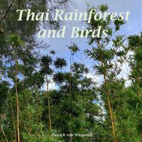 Patrick Von Wiegandt - Thai Rainforest and Birds