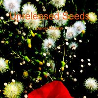 Daniel Masson - Unreleased Seeds