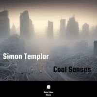 Simon Templar - Cool Senses