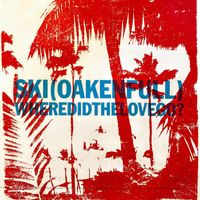 Ski Oakenfull - Where Did The Love Go?