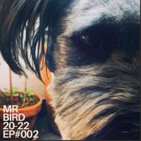 Mr Bird - Bird Beats 20-22 #EP002