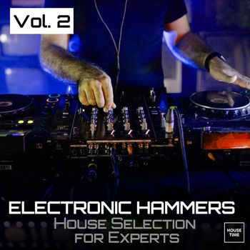 Various Artists - Electronic Hammers, Vol. 2 (House Selection for Experts)