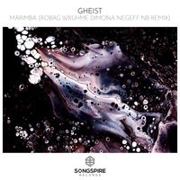 GHEIST - Marimba (Robag Wruhme Dimona Negeff NB Remix)