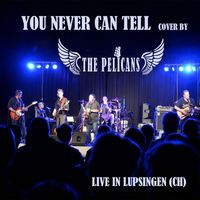 The Pelicans - You Never Can Tell