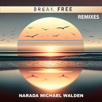 Narada Michael Walden - Break Free (Remixes)