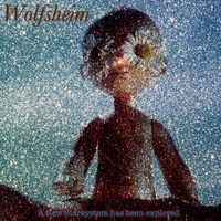 Wolfsheim - A New Starsystem Has Been Explored (2024 Remaster)