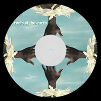 BESSA - ROOTS OF THE EARTH