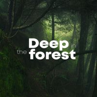 Nature Sounds - Deep In The Forest