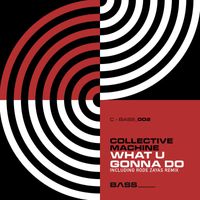 Collective Machine - What U Gonna Do