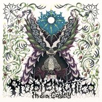 India Gailey - Problematica