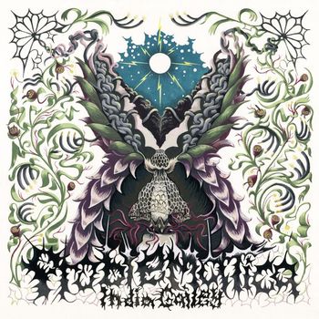India Gailey - Problematica