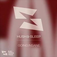 Hush & Sleep - Going Insane