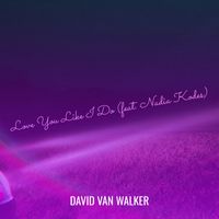 David Van Walker (feat. Nadia Kodes) - Love You Like I Do