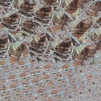 Big Hands - The Vulgarity of Snow