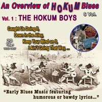 The Hokum Boys - An Overview of Hokum Blues 6 Vol. Vol. 1 : The Hokum Boys - Early blues music (20 Titles - 1935-1937 [Explicit])