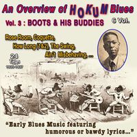 Boots and His Buddies - An Overview of Hokum Blues 6 Vol. - Vol. 3 : Boots and His Buddies - Early blues music (24 Titles - 1935-1937)