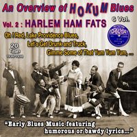 The Harlem Hamfats - An Overview of Hokum Blues 6 Vol. - Vol. 2 : Harlem Hamfats Early blues music (20 Titles - 1936-1938)