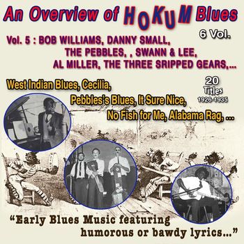 Various Artists - An Overview of Hokum Blues 6 Vol. - Vol. 5 : Bob Williams - Dany Small - The Pebbles - Swan & Lee - Al Miller - Three Stripped Gears Early blues music (20 Titles - 1926-1935)