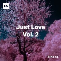 Luigi Pulcini - Just Love, Vol. 2