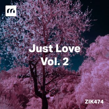 Luigi Pulcini - Just Love, Vol. 2