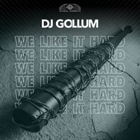 DJ Gollum - We Like It Hard (Extended Mix)