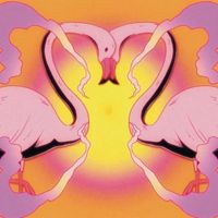 Flamingosis - Nebula Gazer