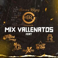 Hermanos Rodriguez - Mix Vallenatos