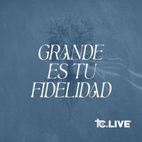 Tc3 Live - Grande Es Tu Fidelidad (feat. Katie Scruggs)