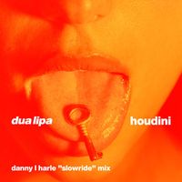 Dua Lipa - Houdini (Danny L Harle Slowride Mix)