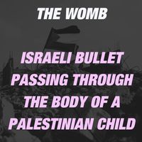 The Womb - Israeli Bullet Passing Through the Body of a Palestinian Child (Explicit)