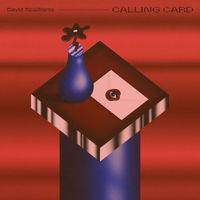 David McWilliams - Calling Card